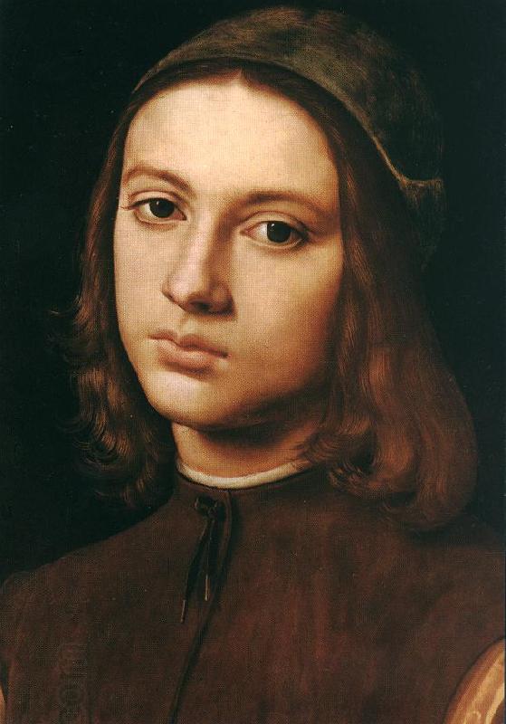 PERUGINO, Pietro Portrait of a Young Man (detail) af China oil painting art